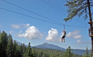Acrobacias en los árboles 